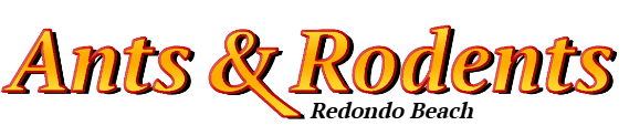 Redondo Beach Ant Exterminator & Rodent Control Company Logo
